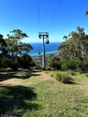 arthurs seat eagle in operation